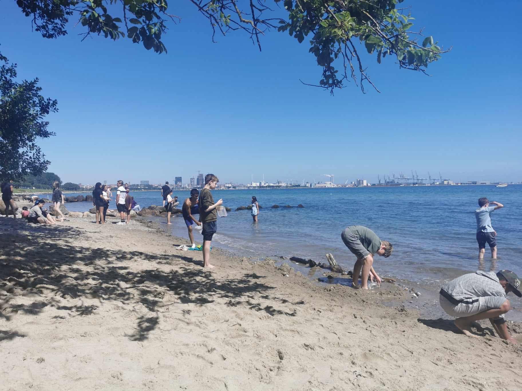 Udskolingen på Tilst Skole på udflugt til stranden ved Moesgaard